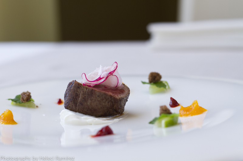 Fotografía gastronómica de plato gourmet con carne y rábano en presentación minimalista